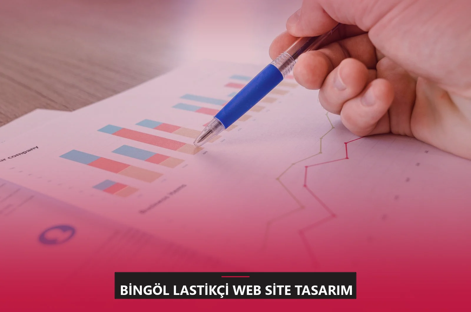 Bingöl Lastikçi Web Site Tasarım
