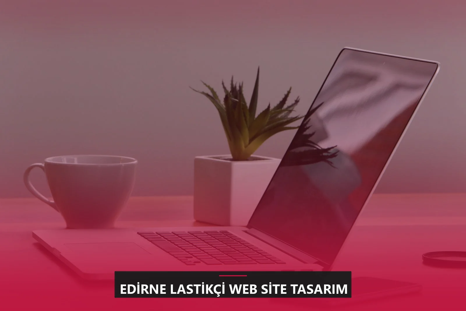 Edirne Lastikçi Web Site Tasarım